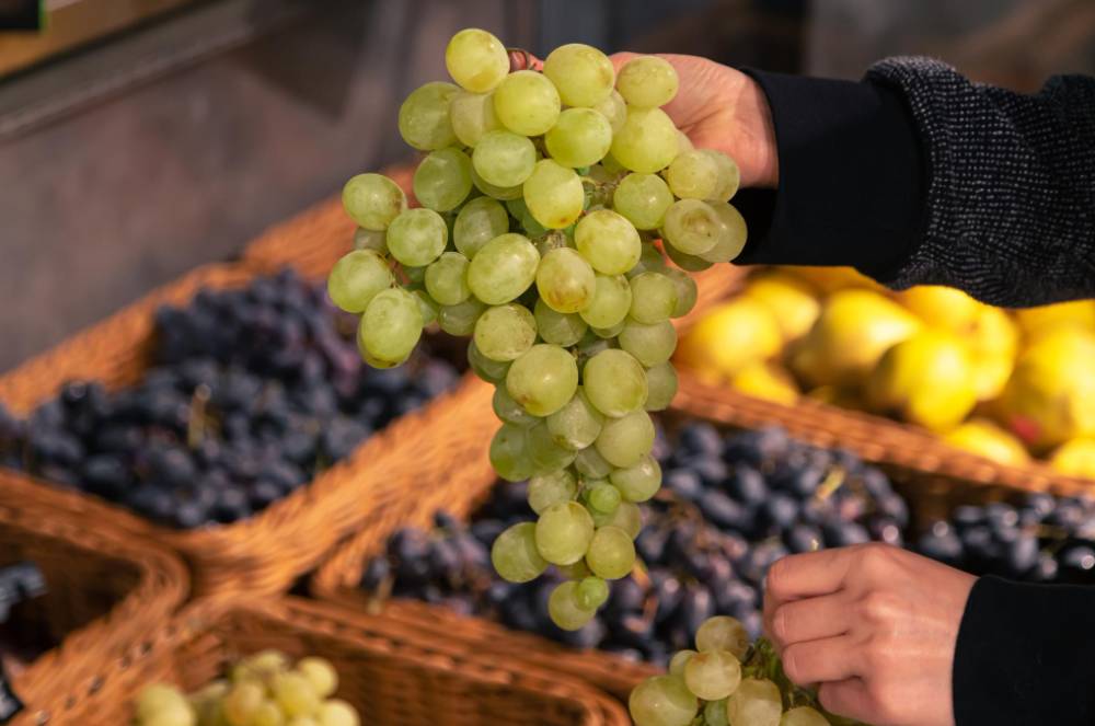 Entendendo os taninos: O que são e como afetam o vinho