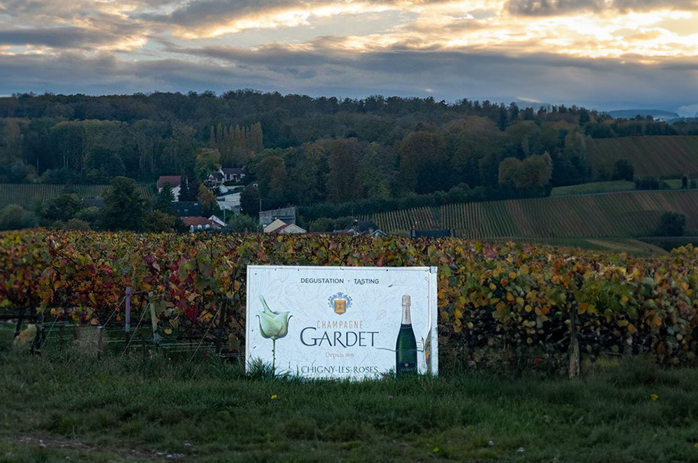 Camila Cenci Revela sua Experiência na Casa de Champagne Gardet em Chigny-les-Roses, na França