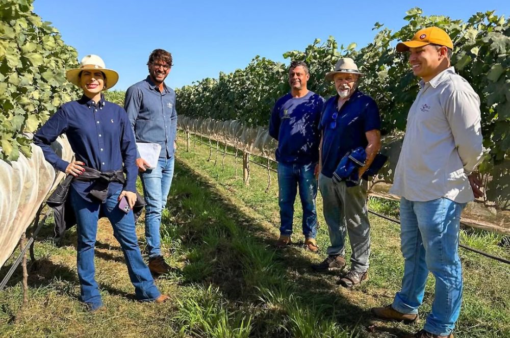 Degustação Técnica de Uvas na Bodega Dom Valentin Cenci com Camila Cenci e Equipe Floeno Consultoria