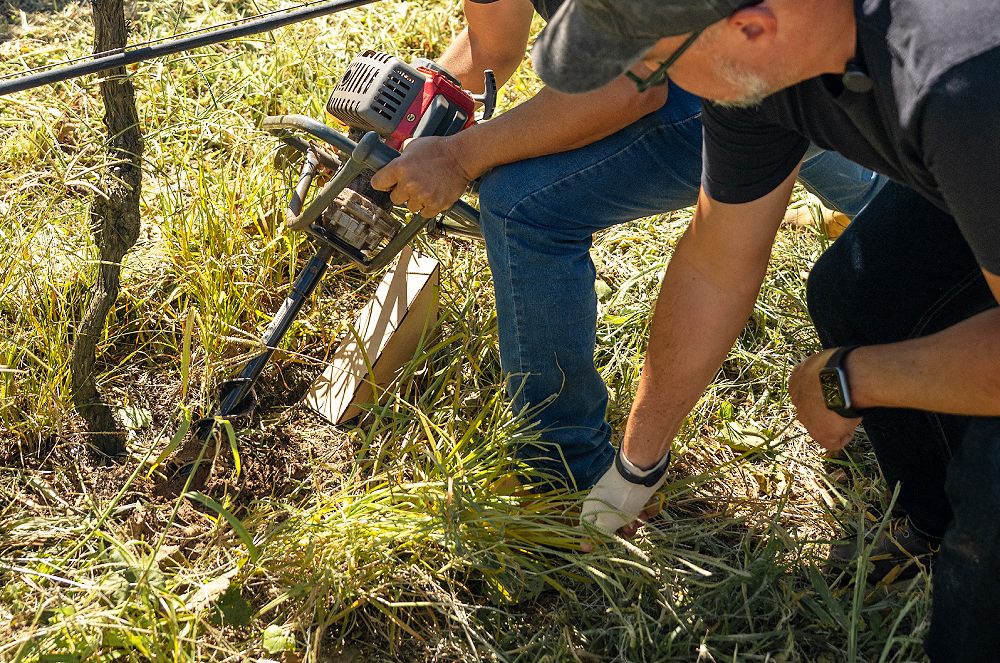 Camila Cenci entrevista Leonardo Cury: Como o Cerrado Pode se Tornar um Novo Polo da Vtivinicultura Nacional