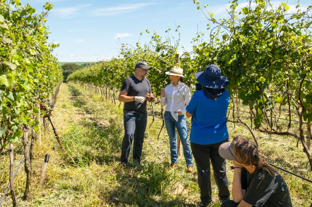 Camila Cenci Entrevista Dr. Leonardo Cury Sobre Inovação no Estudo das Raízes das Videiras Tropicais