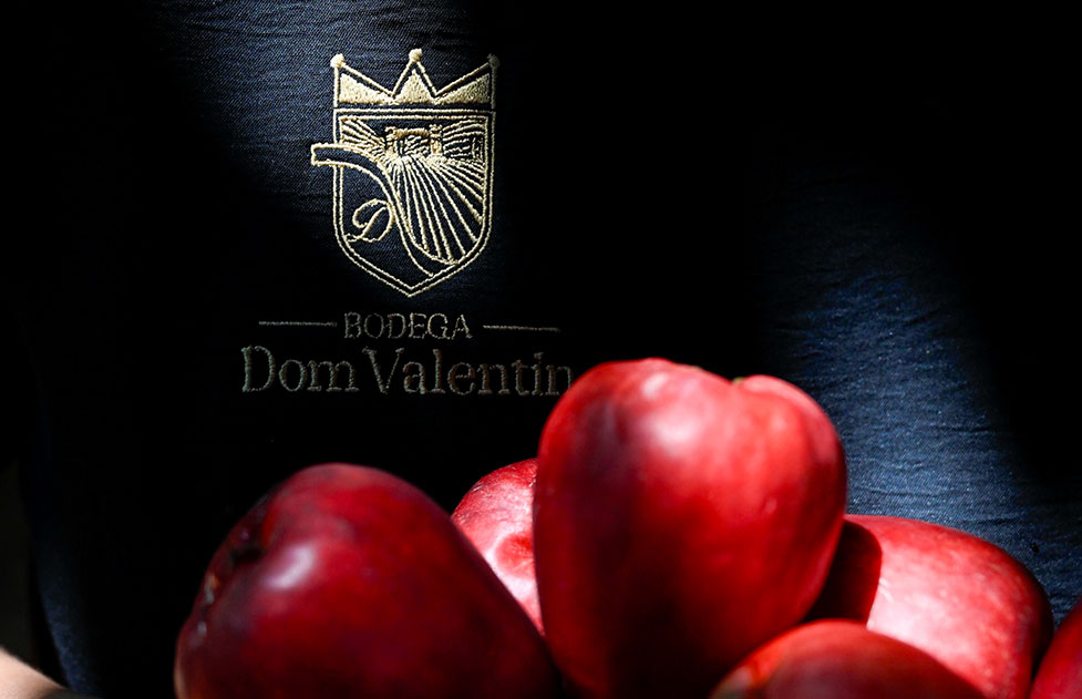 Bodega Dom Valentin