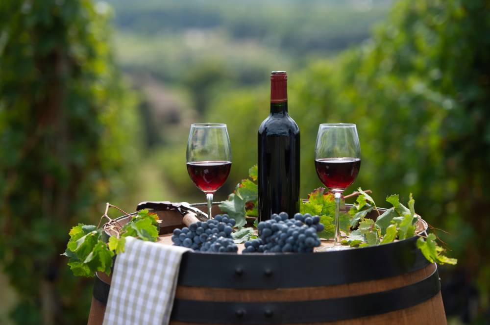 Itália mantém posto de maior produtora mundial de vinhos