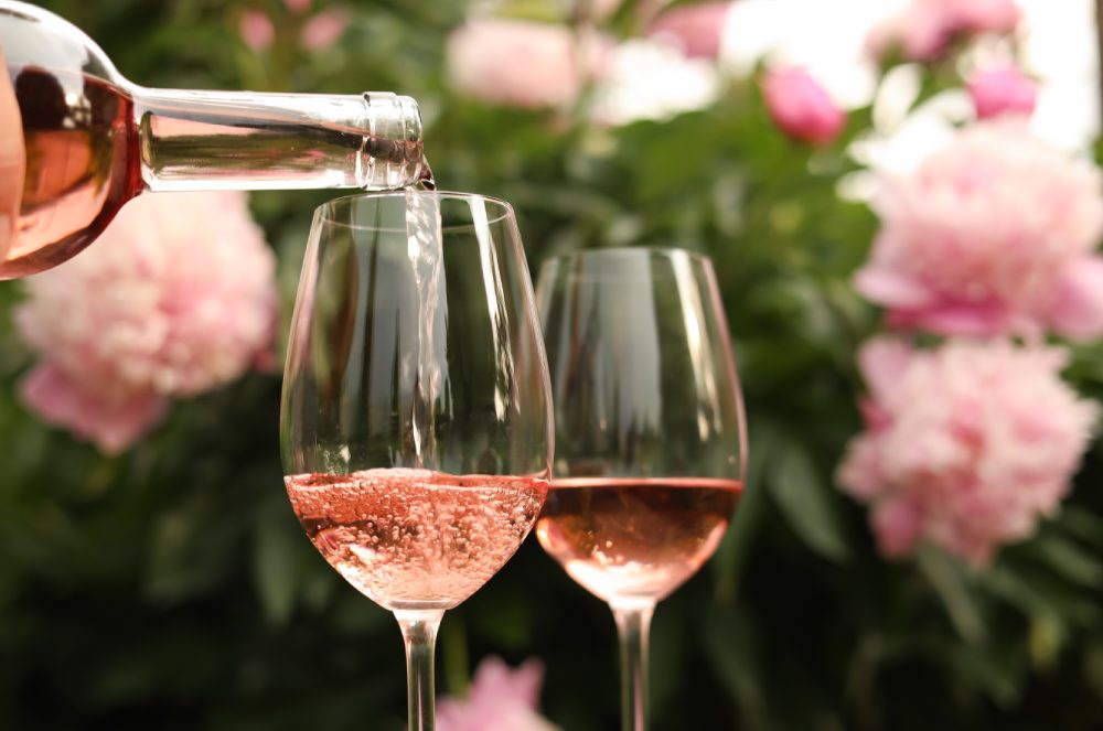 Chardonnay Rosa na AOC Champagne: quando uma mutação antiga reencontra o futuro