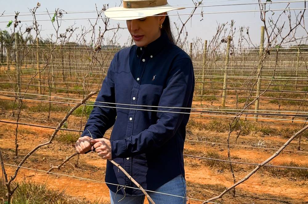 Camila Cenci Explica Como a Enxertia Contribui para a Qualidade das Uvas e Vinhos