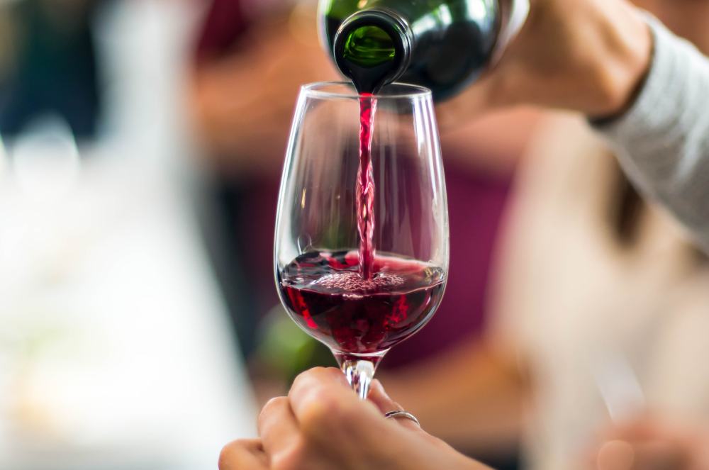Expovitis 2025 Transforma Brasília na Capital Nacional do Vinho