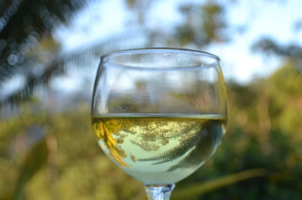 Descubra Por Que o Vinho Verde Não é Verde